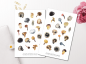 Preview: Herbst Pilze Sticker Set